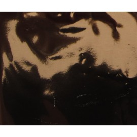 Folie Transfer - TF-14