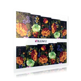 Sticker Unghii - Motiv Floral - BLE/M12